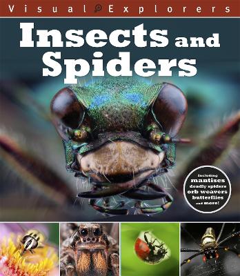 Visual Explorers: Insects and Spiders Illustrated edition