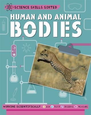 Science Skills Sorted!: Human and Animal Bodies Illustrated edition