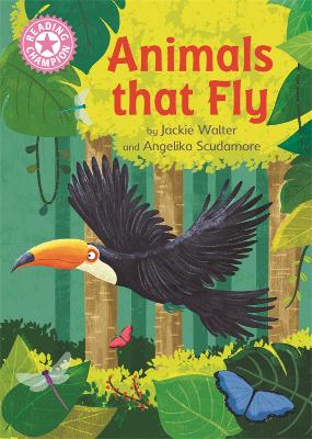 Animals That Fly: Independent Reading Pink 1B Non-fiction