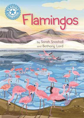 Flamingos: Independent Reading Non-Fiction Blue 4