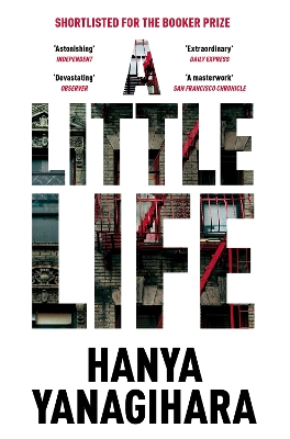 Little Life: The Million-Copy Bestseller