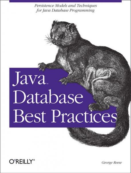 Java Database Best Practices: Persistence Models and Techniques for Java Database Programming