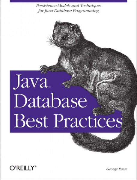 Java Database Best Practices: Persistence Models and Techniques for Java Database Programming