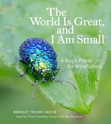 World Is Great, and I Am Small: A Bug's Prayer for Mindfulness
