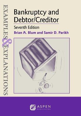 Examples & Explanations for Bankruptcy and Debtor/Creditor 7th ed.