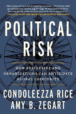 Political Risk: How Businesses and Organizations Can Anticipate Global Insecurity