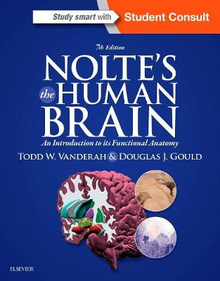 Nolte's The Human Brain: An Introduction to its Functional Anatomy 7th Revised edition