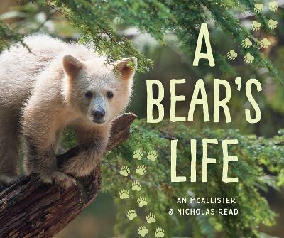 Bear's Life
