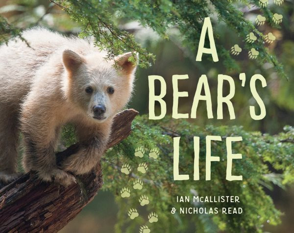 Bear's Life