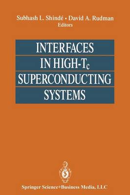 Interfaces in High-Tc Superconducting Systems