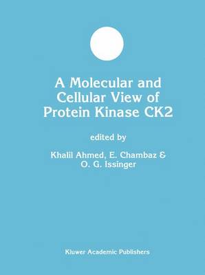 Molecular and Cellular View of Protein Kinase CK2 Softcover reprint of the original 1st ed. 1999