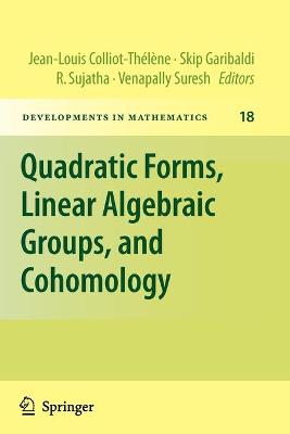 Quadratic Forms, Linear Algebraic Groups, and Cohomology 2010 ed.