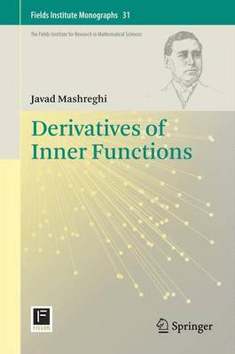 Derivatives of Inner Functions 2013 ed.