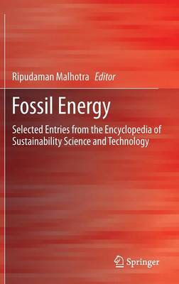 Fossil Energy: Selected Entries from the Encyclopedia of Sustainability Science and  Technology 2013 ed.