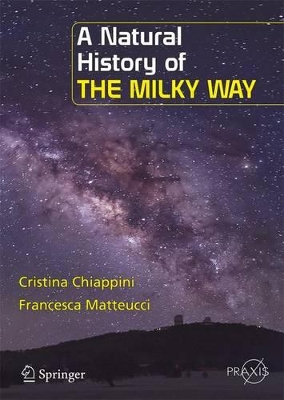Natural History of the Milky Way 1st ed. 2024