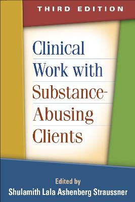 Clinical Work with Substance-Abusing Clients, Third Edition 3rd edition