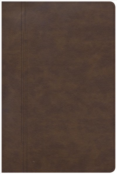 CSB Restoration Bible, Brown LeatherTouch: Embracing God's Word in Difficult Seasons
