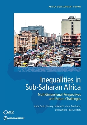 Inequalities in Sub-Saharan Africa: Multidimensional Perspectives and Future Challenges