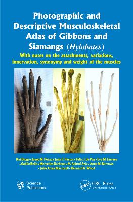Photographic and Descriptive Musculoskeletal Atlas of Gibbons and Siamangs (Hylobates): With Notes on the Attachments, Variations, Innervation, Synonymy and Weight of the Muscles