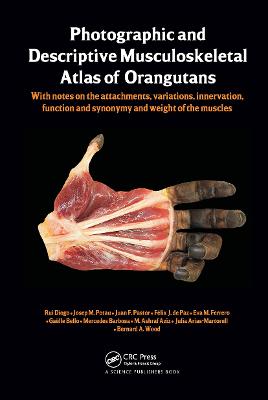 Photographic and Descriptive Musculoskeletal Atlas of Orangutans: with notes on the attachments, variations, innervations, function and  synonymy and weight of the muscles
