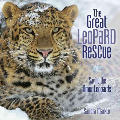 Great Leopard Rescue: Saving the Amur Leopards