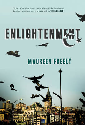 Enlightenment: A Novel