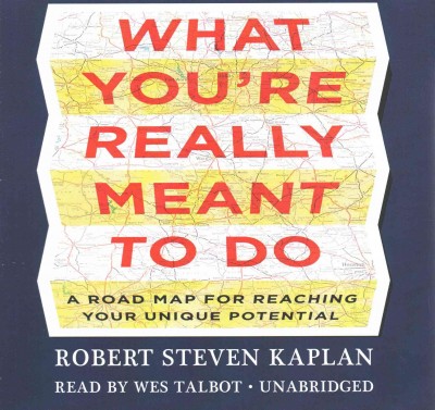 What You're Really Meant to Do Lib/E: A Road Map for Reaching Your Unique Potential Unabridged edition