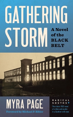 Gathering Storm: A Novel of the Black Belt