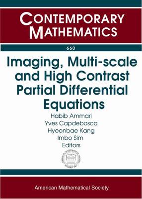 Imaging, Multi-scale and High Contrast Partial Differential Equations