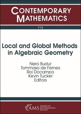 Local and Global Methods in Algebraic Geometry