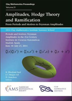 Amplitudes, Hodge Theory and Ramification: From Periods and Motives to Feynman Amplitudes