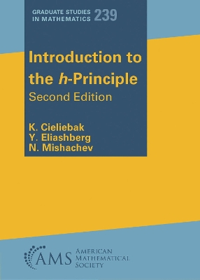 Introduction to the H-Principle Second Edition