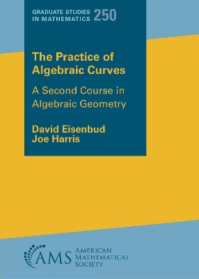 Practice of Algebraic Curves: A Second Course in Algebraic Geometry