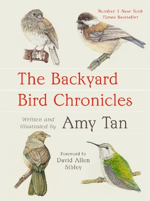 Backyard Bird Chronicles