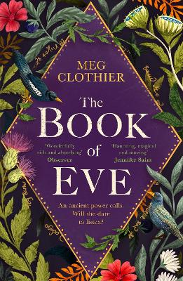 Book of Eve: A beguiling historical feminist tale   inspired by the undeciphered Voynich manuscript