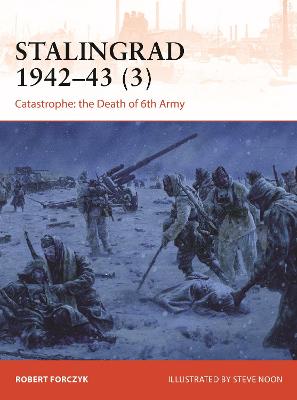 Stalingrad 1942 43 (3): Catastrophe: the Death of 6th Army