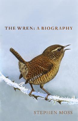 Wren: The perfect gift for bird lovers