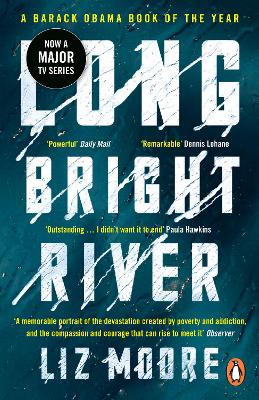 Long Bright River: an intense family thriller