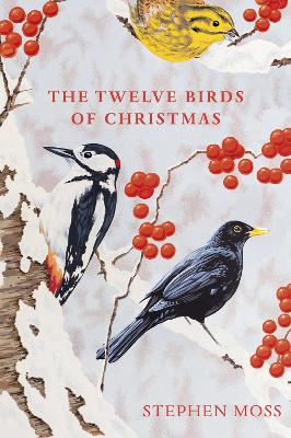 Twelve Birds of Christmas: The perfect Christmas gift for bird lovers