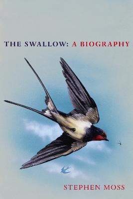 Swallow: The perfect Christmas gift for bird lovers