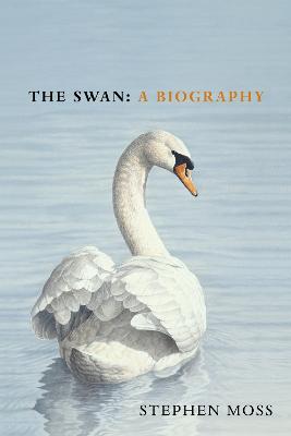 Swan: The perfect gift for bird lovers