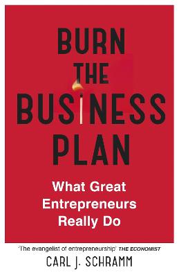 Burn The Business Plan: What Great Entrepreneurs Really Do