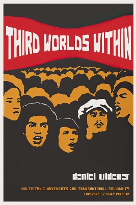 Third Worlds Within: Multiethnic Movements and Transnational Solidarity