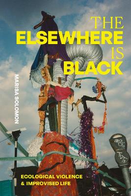 Elsewhere Is Black: Ecological Violence and Improvised Life
