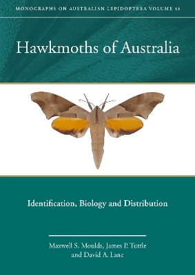 Hawkmoths of Australia: Identification, Biology and Distribution Volume 13