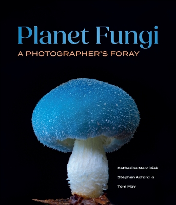Planet Fungi: A Photographer's Foray