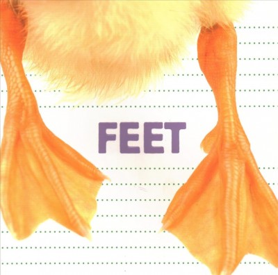 Feet