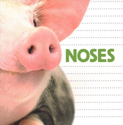 Noses