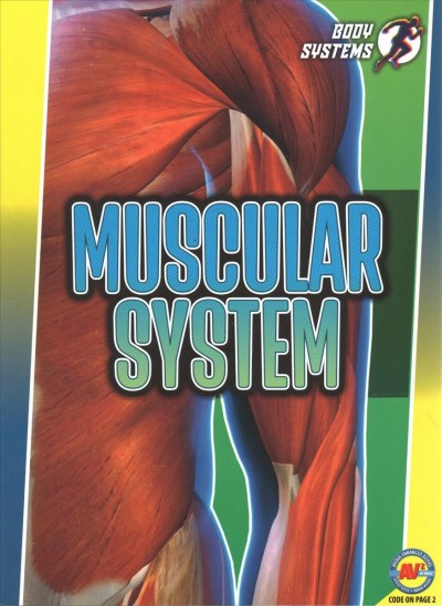 Muscular System