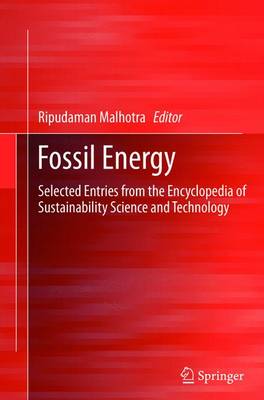 Fossil Energy: Selected Entries from the Encyclopedia of Sustainability Science and  Technology 2013 ed.